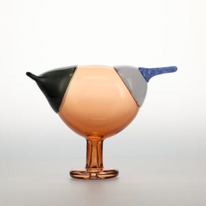 Birds Blue Magpie セビリアオレンジ 0074