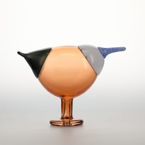 Birds Blue Magpie セビリアオレンジ 0075