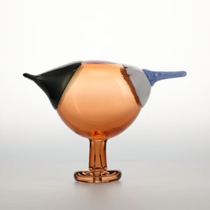 Birds Blue Magpie セビリアオレンジ 0076