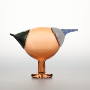 Birds Blue Magpie セビリアオレンジ 0077