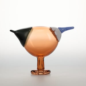 Birds Blue Magpie セビリアオレンジ 0078