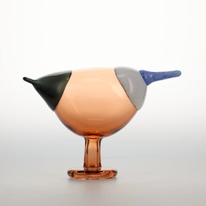 Birds Blue Magpie セビリアオレンジ 0079