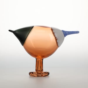 Birds Blue Magpie セビリアオレンジ 0080