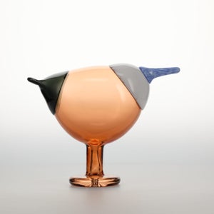 Birds Blue Magpie セビリアオレンジ 0081