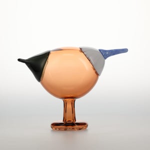 Birds Blue Magpie セビリアオレンジ 0082