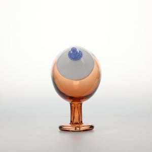 Birds Blue Magpie セビリアオレンジ 0004