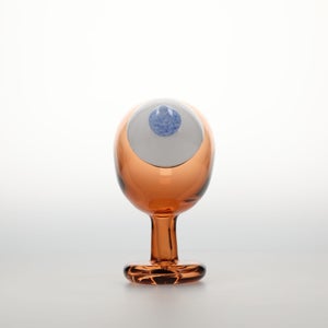 Birds Blue Magpie セビリアオレンジ 0005