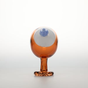 Birds Blue Magpie セビリアオレンジ 0010