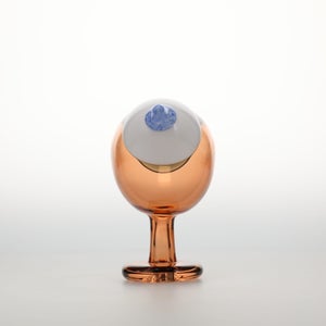 Birds Blue Magpie セビリアオレンジ 0013