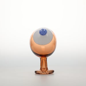 Birds Blue Magpie セビリアオレンジ 0014