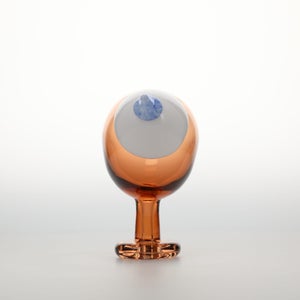 Birds Blue Magpie セビリアオレンジ 0028