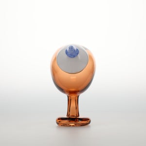 Birds Blue Magpie セビリアオレンジ 0032