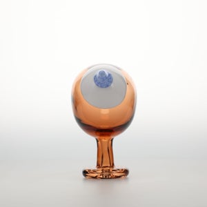 Birds Blue Magpie セビリアオレンジ 0046