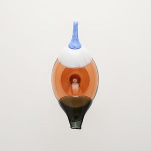 Birds Blue Magpie セビリアオレンジ 0067