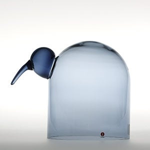 Birds Anna レイン 0044