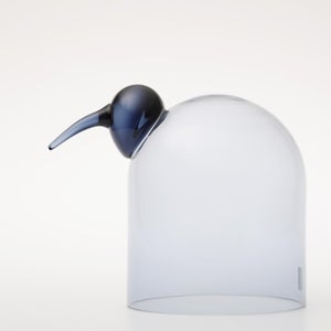 Birds Anna レイン 0064