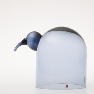 Birds Anna レイン 0066