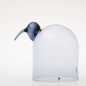 Birds Anna レイン 0067