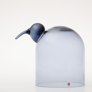 Birds Anna レイン 0068