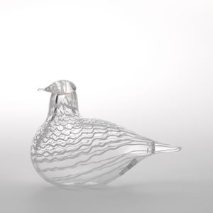 Birds Mediator Dove 0558