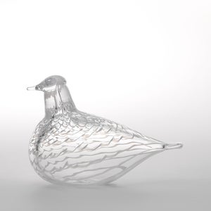 Birds Mediator Dove 0560