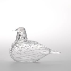 Birds Mediator Dove 0561