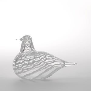 Birds Mediator Dove 0563