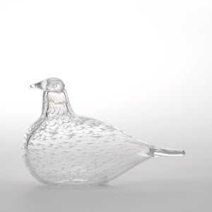 Birds Mediator Dove 0567