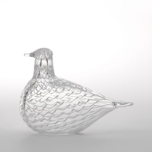 Birds Mediator Dove 0569