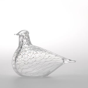 Birds Mediator Dove 0571