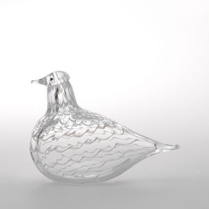 Birds Mediator Dove 0595