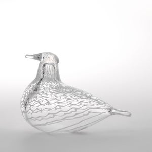 Birds Mediator Dove 0596