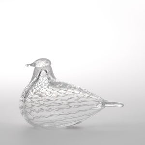 Birds Mediator Dove 0597