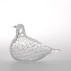 Birds Mediator Dove 0598