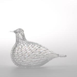 Birds Mediator Dove 0599