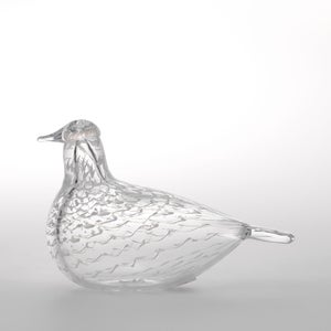 Birds Mediator Dove 0601