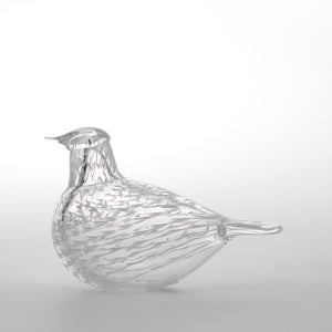 Birds Mediator Dove 0603