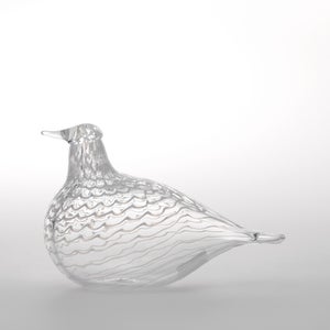 Birds Mediator Dove 0605