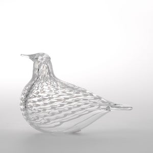 Birds Mediator Dove 0610