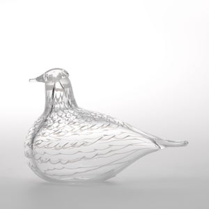 Birds Mediator Dove 0611