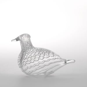 Birds Mediator Dove 0612