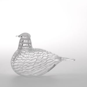 Birds Mediator Dove 0613