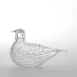 Birds Mediator Dove 0625
