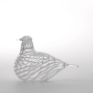 Birds Mediator Dove 0626