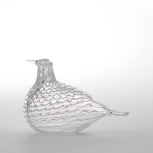 Birds Mediator Dove 0627