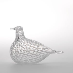 Birds Mediator Dove 0629
