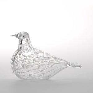 Birds Mediator Dove 0630