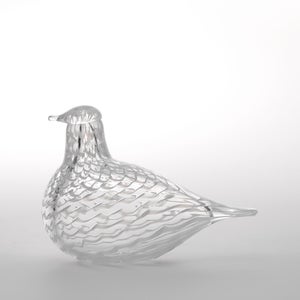 Birds Mediator Dove 0631