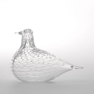 Birds Mediator Dove 0632