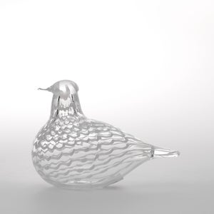 Birds Mediator Dove 0633